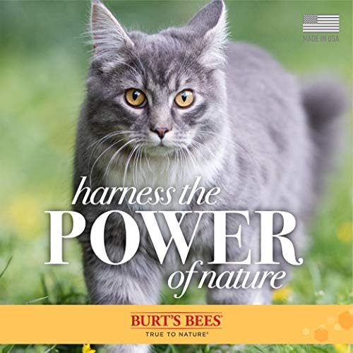 הדבורים של ברט לחתולים מגבוני טיפוח ורסס להפחתת קשקשים - מגבונים לחתולים ותרסיס קשקשים לחתולים, מגבונים לקשקשים