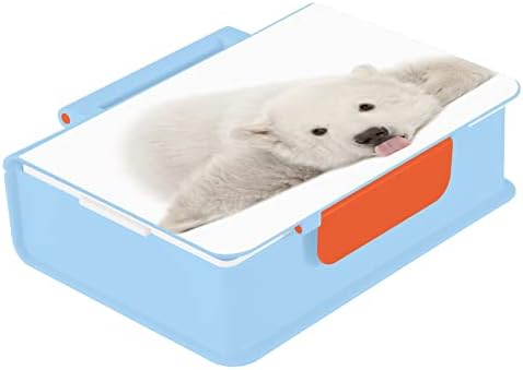 Susiyo חמוד דוב קוטב דוב בנטו קופסא קופסאות קופסאות אוכל עם 3 תאים למבוגרים ובני נוער