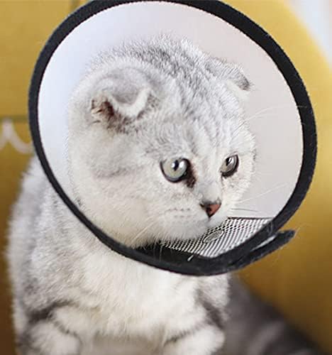ברור לחיות מחמד התאוששות צווארון כלב קונוס צווארון חתול מגן צווארון עבור לאחר ניתוח הגנת טיפוח צווארון רחצה פצע ריפוי