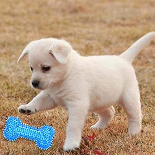 כלב חורק עצם ללעוס צעצוע עבור לועסים אגרסיביים, עמיד כלב גומי עצם צעצוע כלבים שיניים ניקוי והדרכה )