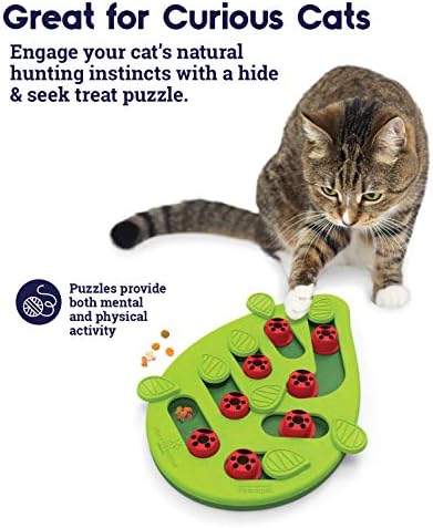 Petstages Chase Meowtain Interactive 4 -Tier Track Toy & Petstages Buggin 'Out Puzzles