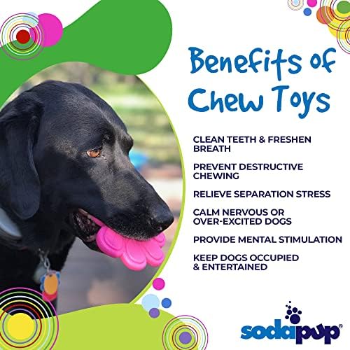 הדפסת כפה של Sodapup-צעצוע לעיסת כלבים עמיד שנעשה בארהב מחומר ניילון לא רעיל, חיות מחמד ובטוח במזון לגירוי נפשי, שיניים