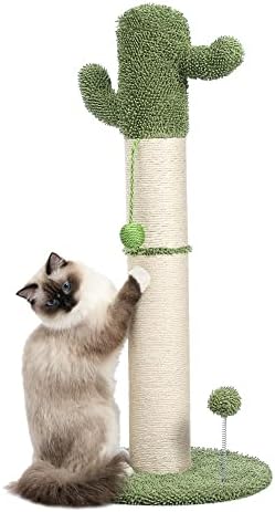 אירע את מגרד עץ החתול הקקטוס המסוגנן - ריהוט לחתולים מודרני עם פוסט שריטות של סיסל וכדור משתלשל אינטראקטיבי - מרכז פעילות