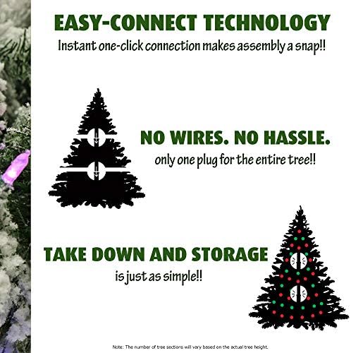 Fraser Hill Farm 6.5-FT Prelit Homestead אורן עץ חג המולד חלבית עם EZ Connect Files LED לבן חמים, פינקונים וגרגרים, ירוק