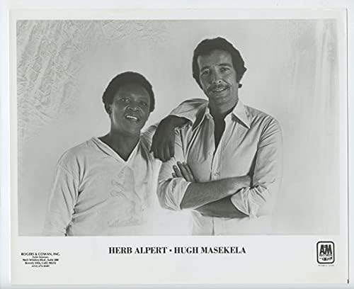 עשב אלפרט יו מסקלה צילום וינטג 'מקורי 1978 A&M רשומות קידום פרסום