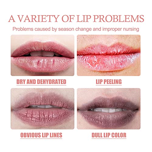 מדריך איפור לנשים למתחילים פילינג שפתיים פילינג פילינג לחות שפת שפת שפת שפת לחות לשפתיים סדוקות וסדוקות לשפתיים צעירות למראה