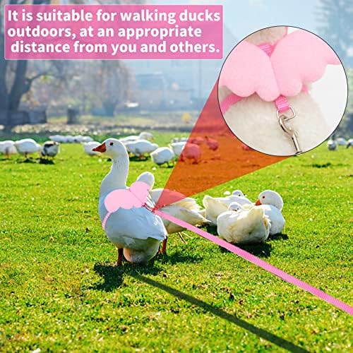 1 חתיכות לחיות מחמד ברווז הליכה לרתום רצועה וכנפיים, תרנגולת תרנגולות לרתום, מתכוונן חיצוני אימון מתיחת חבל עבור עוף ברווז