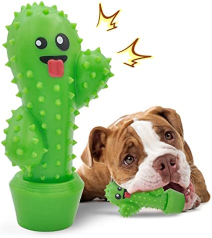 חורק קקטוס כלב ללעוס צעצוע עבור לועסי אגרסיבי הקשה שאינו רעיל טבעי גומי לאורך זמן כלב צעצוע עבור בינוני גדול כלבים ללעוס