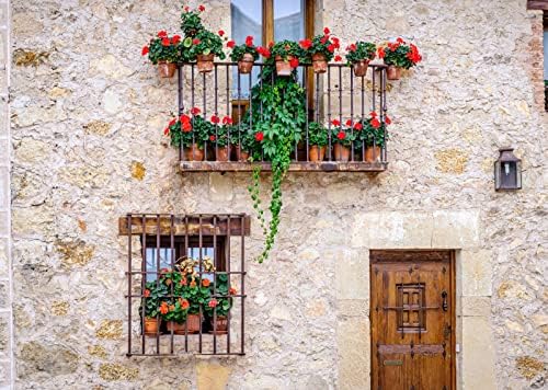 Loccor בד 15x10ft תפאורה עירונית ספרדית לצילום חלונות בית כפרי עם פרחים רקע נושאי טיול אירופאי נושאים קישוטי