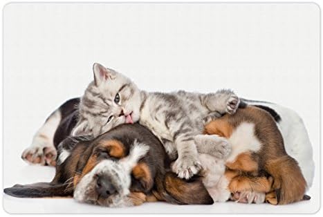 מחצלת חיות מחמד מצחיקה למזון ומים, חתלתול שוכב על הגורים באסט כלבם ומלקק תמונת חיבוק שינה, מחצלת גומי מונעת
