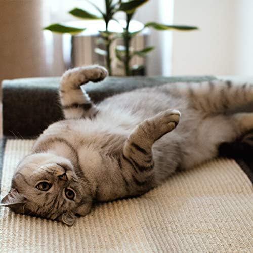 נבאריס חתול שריטה מחצלת ספה מגן-טבעי סיסל ריהוט מגן משטח גירוד לחתולים-שריטה שטיח למיטה, כיסא
