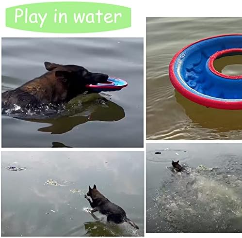 כלב אייבי פריסבי, צעצוע של כלבים עלון, דיסקים מעופפים כלבים צעצועים, להביא צעצוע של כלבים - צף במים ובטוח