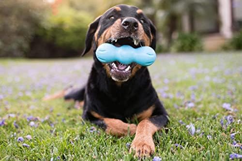 West Paw Zogoflex Rumpus Dog Chew צעצוע & Zogoflex Air Skamp Tug-of-Waw Stick Stick Chhew צעצוע-צעצוע אינטראקטיבי לכלבים,
