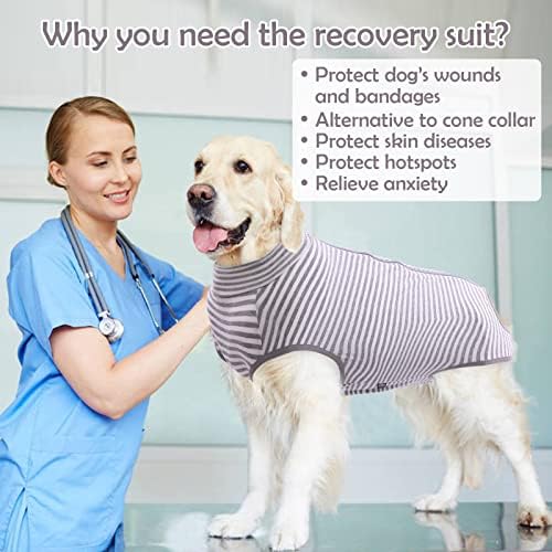חליפת התאוששות לחיות מחמד לאחר ניתוח מסורס לכלבים בינוניים-גדולים, אפוד כירורגי להתאוששות מקצועית לתחבושות פצע בטן מחלת עור,