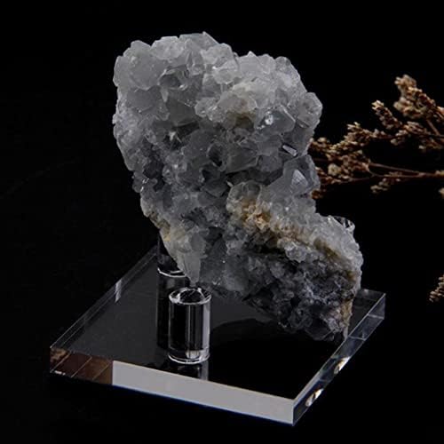 Leipupa Stand for Fossils Gembestones Rocks Geode - Small