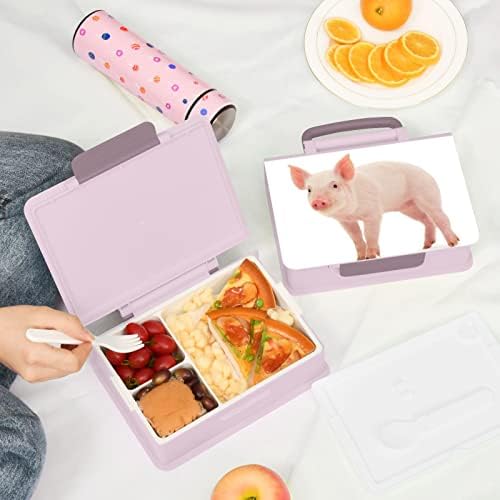 Alaza חמוד חזירים חמוד בנטו קופסת ארוחת צהריים BPA ללא דליפה מכולות ארוחת צהריים עם מזלג וכף, 1 חתיכה