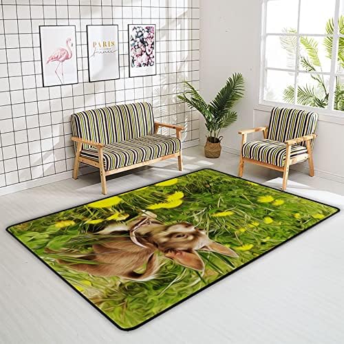 משחק שטיח מקורה משחק מחצלת צ'יוואווה כלבלב על שדה הפרחוני לסלון חדר שינה משתלת חינוכית שטיחים שטיחים 72x48 אינץ '