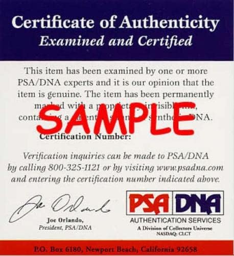 DON NEWCOMBE PSA DNA חתום 8x10 דודג'רס חתימת תמונות - תמונות MLB עם חתימה