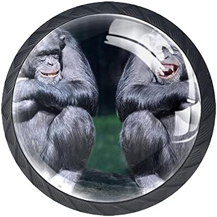 מגירת ידיות שמח שימפנזים קרוואנים משרד בית מטבח ארון ארונות שידת חומרה מגירות זכוכית ארונות כיף ידיות 4 יחידות
