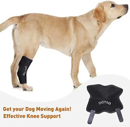 סד ברך כלב דיאמון, סד הוק ברגליים אחוריות עבור ACL ו- CCL קרוע, פציעות וכאבי מפרקים, תמיכה דחיסת דחיסת פצעים מתכווננת