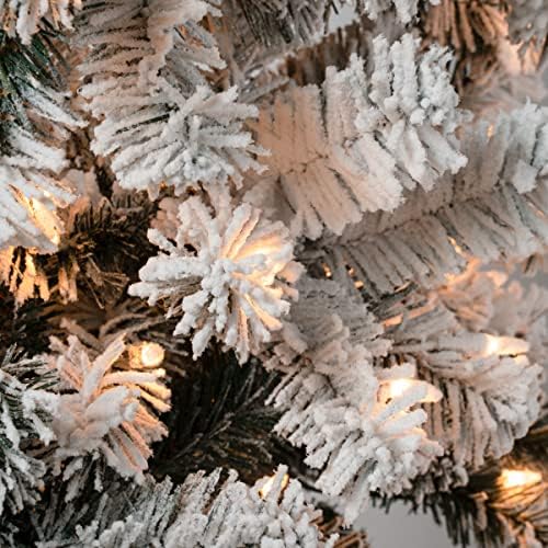 חברת העצים הלאומית מסורות ראשונות מסורות לפני שקט לפני עץ נוהר עץ חג מולד דק, אורות ליבון ברורים, תקע, 4.5 רגל