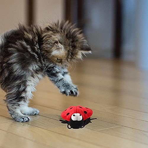 חתול צעצועים / פרת משה רבנו קול בובת / חתול מקורה תרגיל משחק בפלאש צעצועי חתלתול או חתולים