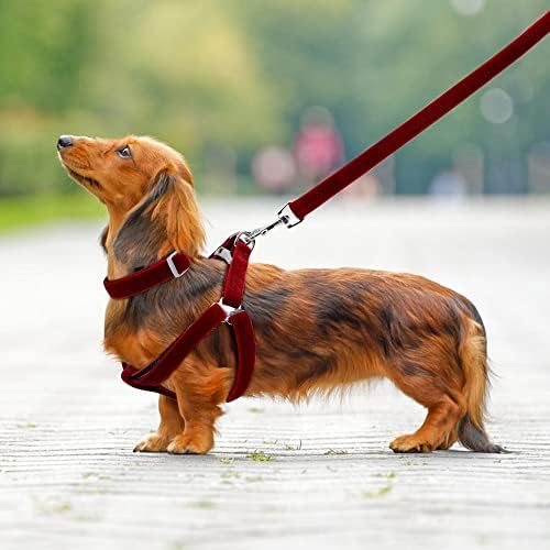 N/A צווארון כלבים מתכוונן רתמת רצועת רצועה משקפת רתמת גור רך רך צווארוני חיית מחמד ניילון לכלבים בינוניים