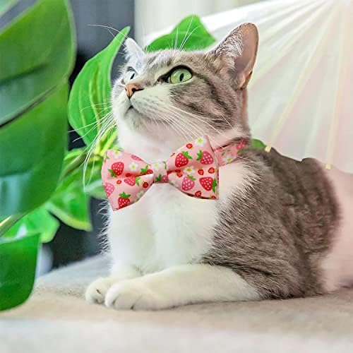 2 מארז אביב / קיץ חתול צווארון עם עניבת פרפר, דבורת דבש וחמוד תות פרח צווארון עבור חתלתולים וחתלתולים