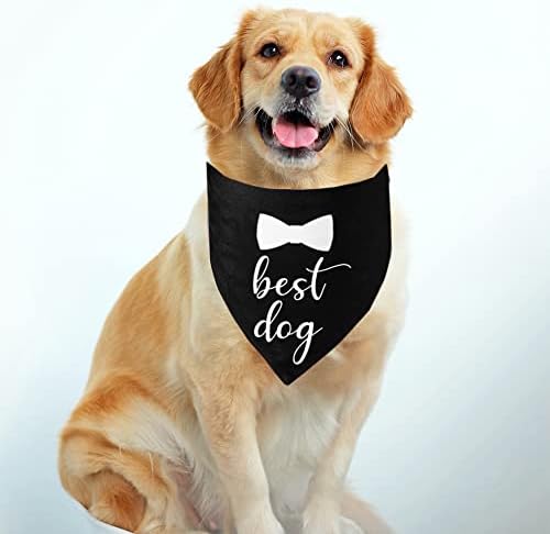 Bnibol 2 חבילה כלב בנדנה למעורבות בחתונה, צעיף חיית מחמד משולש לאוהבים, מתאים לכלב ילדות בינוני גדול.