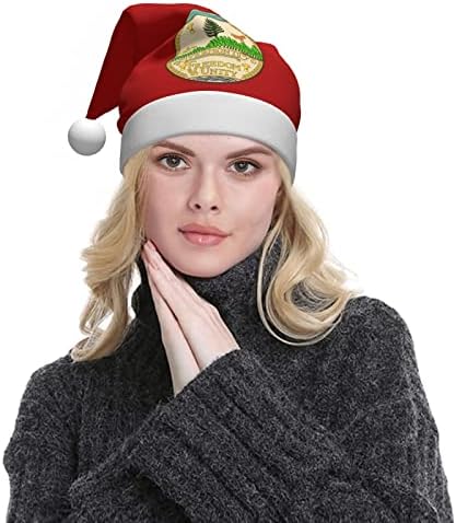 זלטאס מדינת חותם של ורמונט חג המולד כובע למבוגרים רך נוח סנטה כובעי חג המולד לשנה חדשה חג ספקי צד