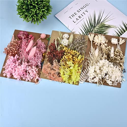 דלרן 6 חבילה אמיתית פרחי עלים מיובשים-מיובשים-ריבוי צבעוני פרחים לחץ דחפנים הידראנגים לתכשיטי שרף מלאכה להכנת אמנות מלאכה