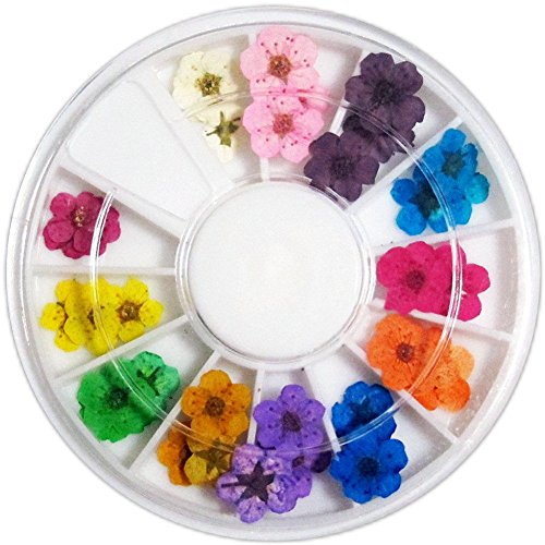 מניקור אופנה 12 צבע 3 ד פרחים מיובשים אמיתיים ג ' ל אקריליק נייל עשה זאת בעצמך אמנות טיפים דקור-ססגוניות