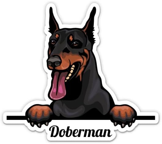מדבקת כלבים של דוברמן - מדבקת מחשב נייד 3 אינץ ' - ויניל אטום למים לרכב, טלפון, בקבוק מים - מדבקות כלבים של