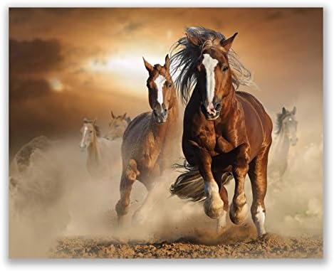 סוס בהשראת יופי במדבר : חלון ראווה של כוח ויופי של סוס-קיר אמנות דקור ממוסגר פוסטר הדפסי