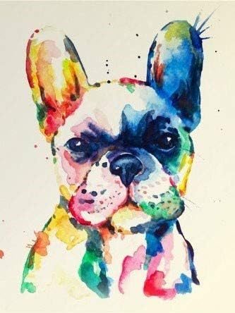 QGHZSCS צבע לפי מספרים ציור דיגיטלי צבע חיות צבע כלבים תמונה מתנות לקישוט בית B6