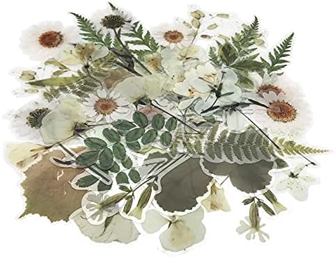 בציר טבעי מדבקות, 40 יחידות פרחים דקורטיבי רטרו מדבקות דבק צבעי מים אסתטי טרנדי עבור אלבום עורות מחשב נייד אלבום