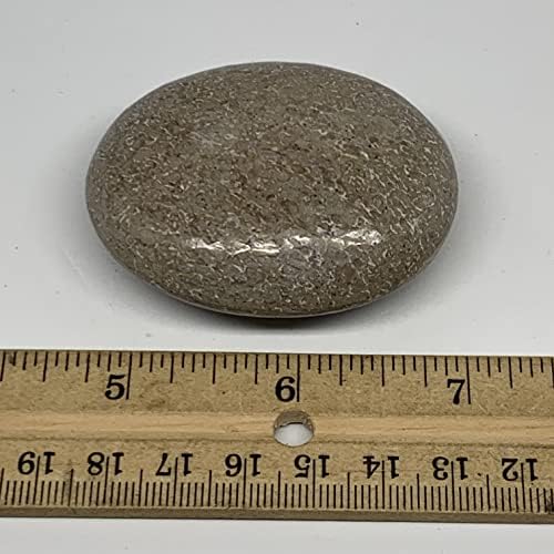 83.8 גרם, 2.3 x1.9 x0.9 טבעי לא מטופל דינוזאור עצם אבן דקל אבן צורה מלוטשת @morocco, קריסטל אנרגיה רייקי, מטאפיזי,