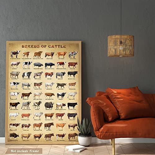 גזעי Basyeeo של פוסטר בקר, גזעים נפוצים של פרות בקר וחלב, דפסי קיר פוסטר של בעלי חיים דפסי אמנות לא ממוסמכים 12x18