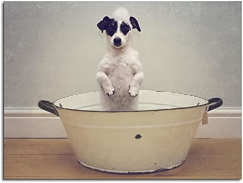 פוסטר אמבטיה כלבים שחור לבן חמוד כלב עומד בבד אמבטיה מדפיס אמנות קיר לקישוטי משרד ביתי עם ממוסגר 10 x8