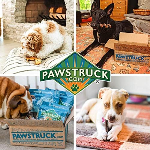 קופסת הלעיסה של כלב טבעי של Pawstruck: כלב קטן