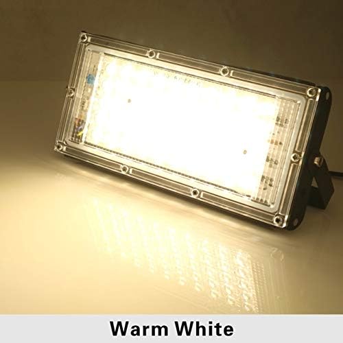 HOOK 100W LED LED LIGHT LIGHT AC 220V 230V 240V Floodlight Floodlight IP65 LED אטום למים LED מנורת תאורת נוף תאורה