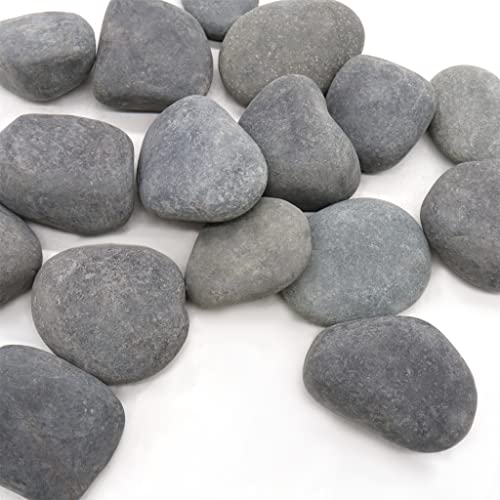 סלעים שחורים 2 - 3 אינץ', 5 פאונד. של טבעי לא מלוטש אבן חלוקי לצמחים, גנים, רוק ציור, גינון, בשרניים, דגי טנק חצץ, חממה,