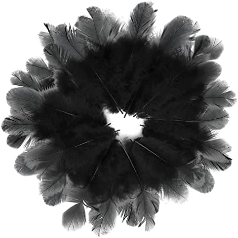 היימאי 400 חתיכות שחור נוצות למלאכת חתונת בית המפלגה קישוטים, 2-5 סנטימטרים טבעי נוצות שחור קרפט נוצות