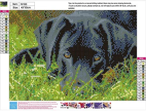 ציור יהלום 5D DIY לפי ערכות מספר, ערכת ציור יהלום DIY לקישוט קיר לחדד כלב שחור 15.7x11.8 אינץ '