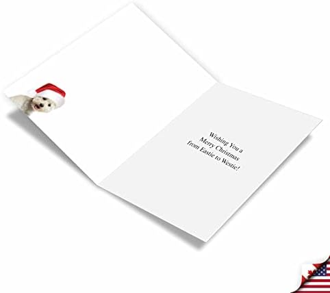 נובלוורקס 12 כרטיסי ברכה לחג המולד עם מעטפות בגודל 5 על 7 אינץ ' חג נפלא ווסטיס ג6324קסג-ב12 על 1