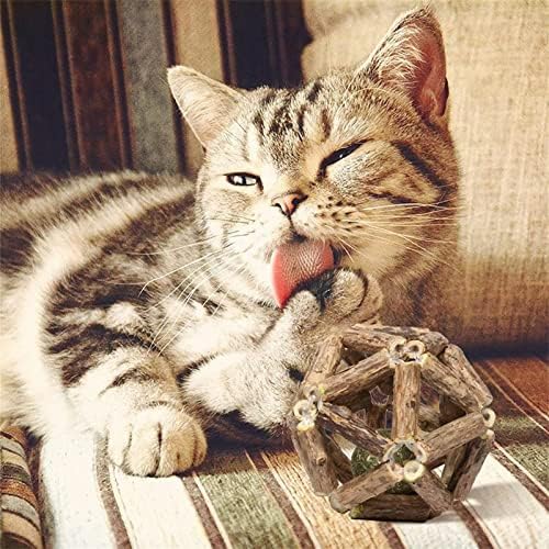כדור קטניפ, כדור חתול צעצועי חתול צעצועים אינטראקטיביים לחתלתולים ניקוי חתולים שיניים בריא של כדורי כדור חיות מחמד